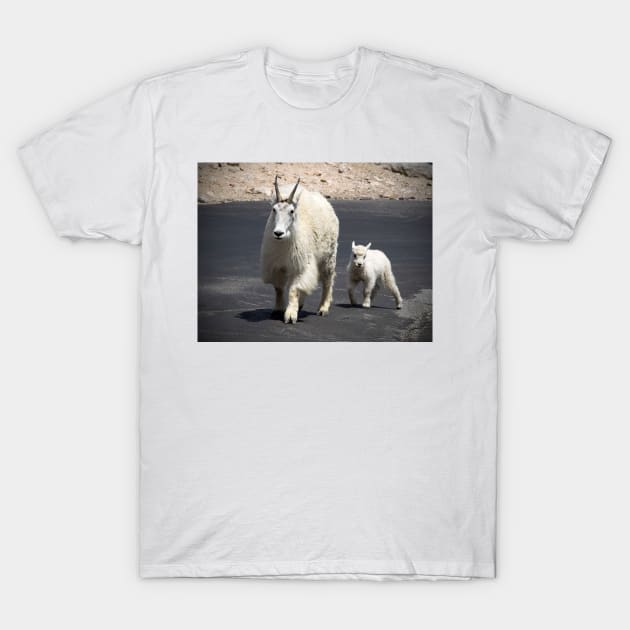 Mountain Goats T-Shirt by algill